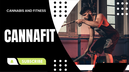 Unveiling Cannafit: A Comprehensive Lifestyle Experience with Cannafitshop