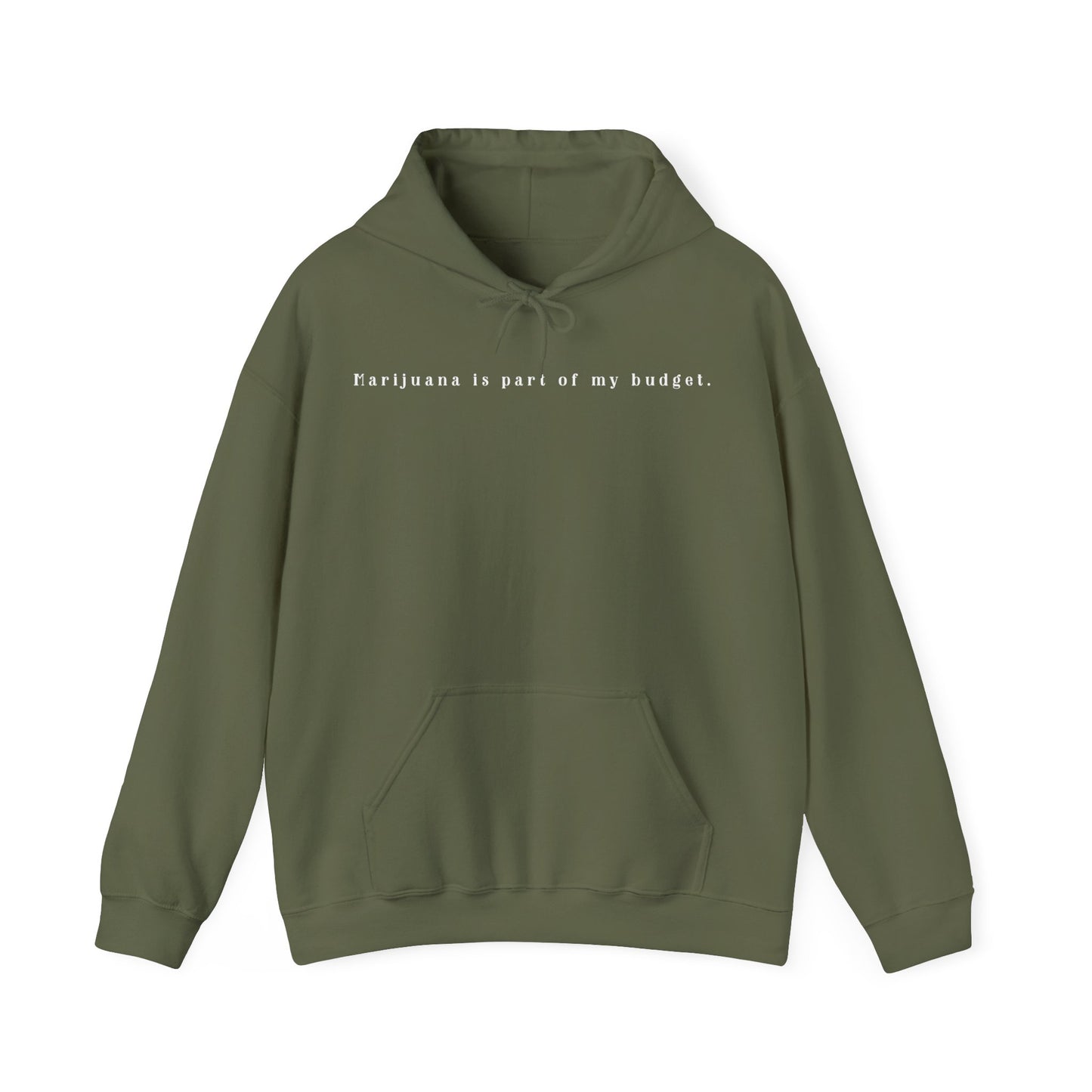 Budget Unisex Hooded Sweatshirt