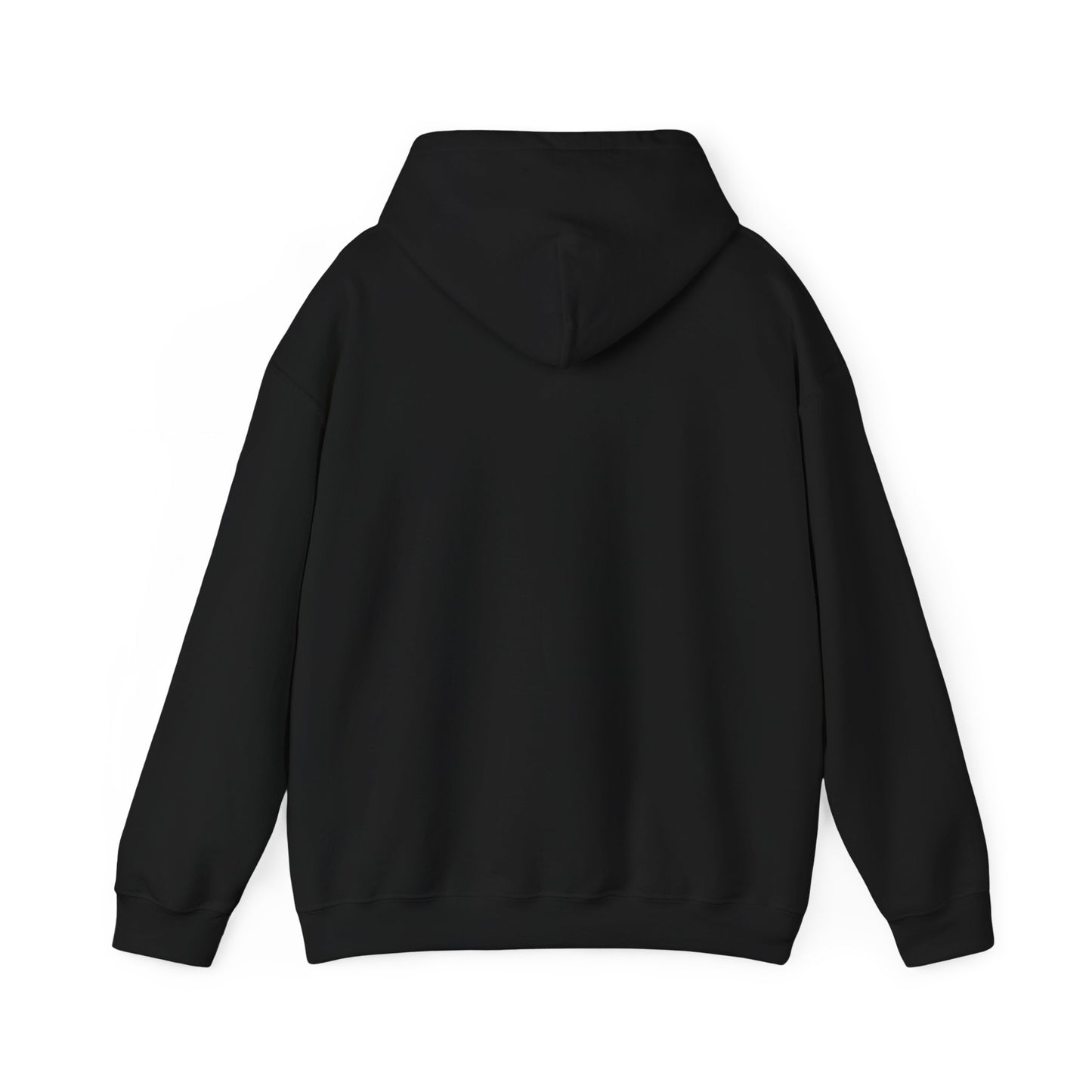 Budget Unisex Hooded Sweatshirt