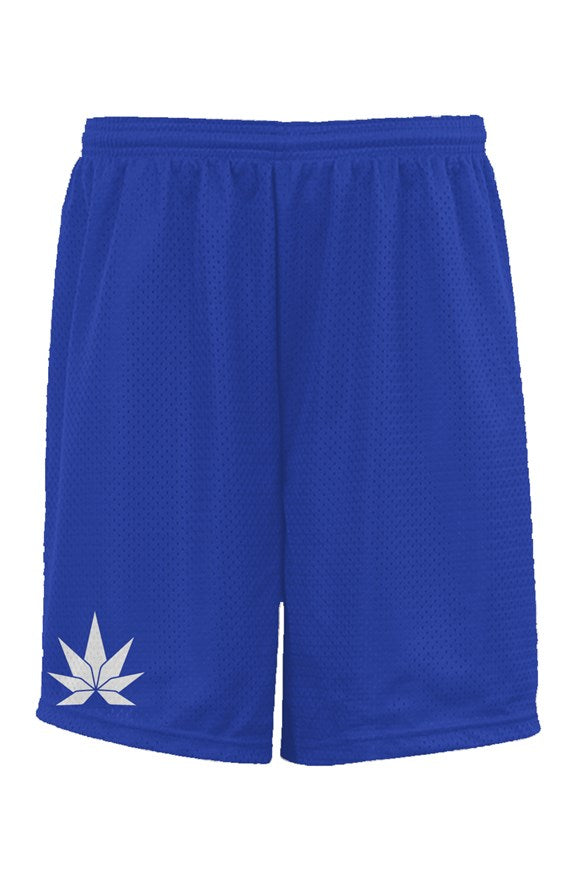 Blue Classic Mesh Shorts - Cannafitshop